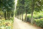 PICTURES/Rodin Museum - The Gardens/t_Garden1.JPG